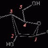 C-3-endo-konformacija omotnice