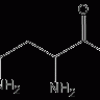 asparagin
