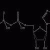 adenozin-trifosfat