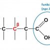 beta-ugljikov atom