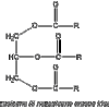 triacilgliceroli