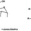glikolipidi