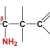 beta-aminokiseline
