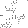 flavoproteini