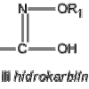 karbohidroksimske kiseline