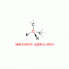 sekundarni ugljikov atom