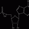 adenozin-monofosfat