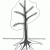stablo