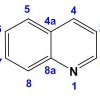 kinolin