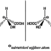 enantiomerija