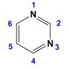 pirimidin